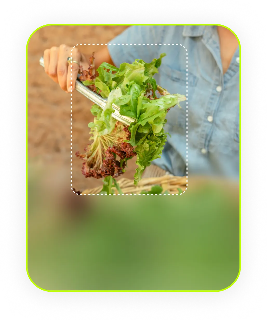 Fresh Produce Sourced